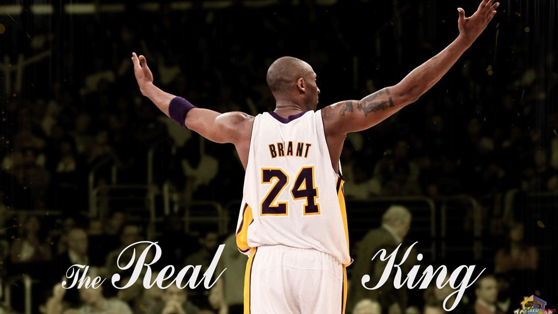 【荣耀之路再启航】赵心童6比1完胜布朗，昂首晋级国锦赛64强再谱新篇